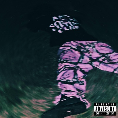 NEVER TAKE YOUR OWN LIFE - Single