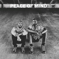 Peace Of Mind (feat. Scott Morris) - Single - Zeyi