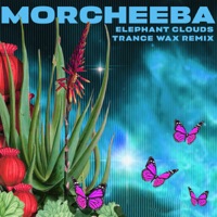 Elephant Clouds (Trance Wax Remix) - Single - Morcheeba