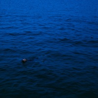 Jesus - Single - Rapha Sousas