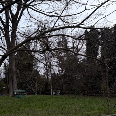 TIRED (s!cco) - Single