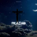 PRAISE