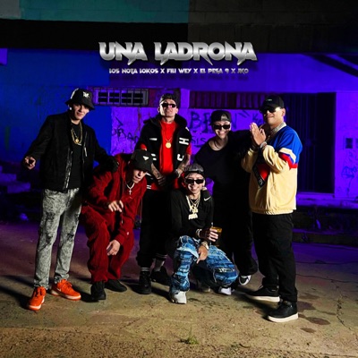 Una Ladrona (feat. JKO) - Single