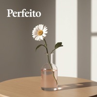 Perfeito - Single - Shattz & Carlos Kendrick