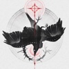птахи летять додому cover art