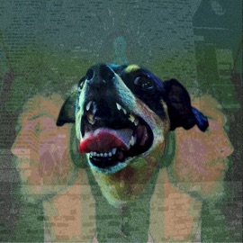 Roller Coaster Jamerging