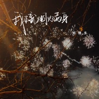 我本就烟火满身 - Single - 郑德多