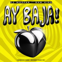 Ay Baja (feat. Dj Woofer Mx) - Single - Saw king