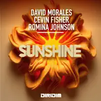 Sunshine — David Morales, Cevin Fisher, Romina Johnson
