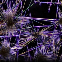 KILL OR BE KILLED - Single - THXRN