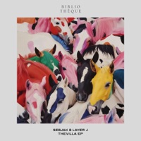 Where Are They - Single - Sebjak & Layer J