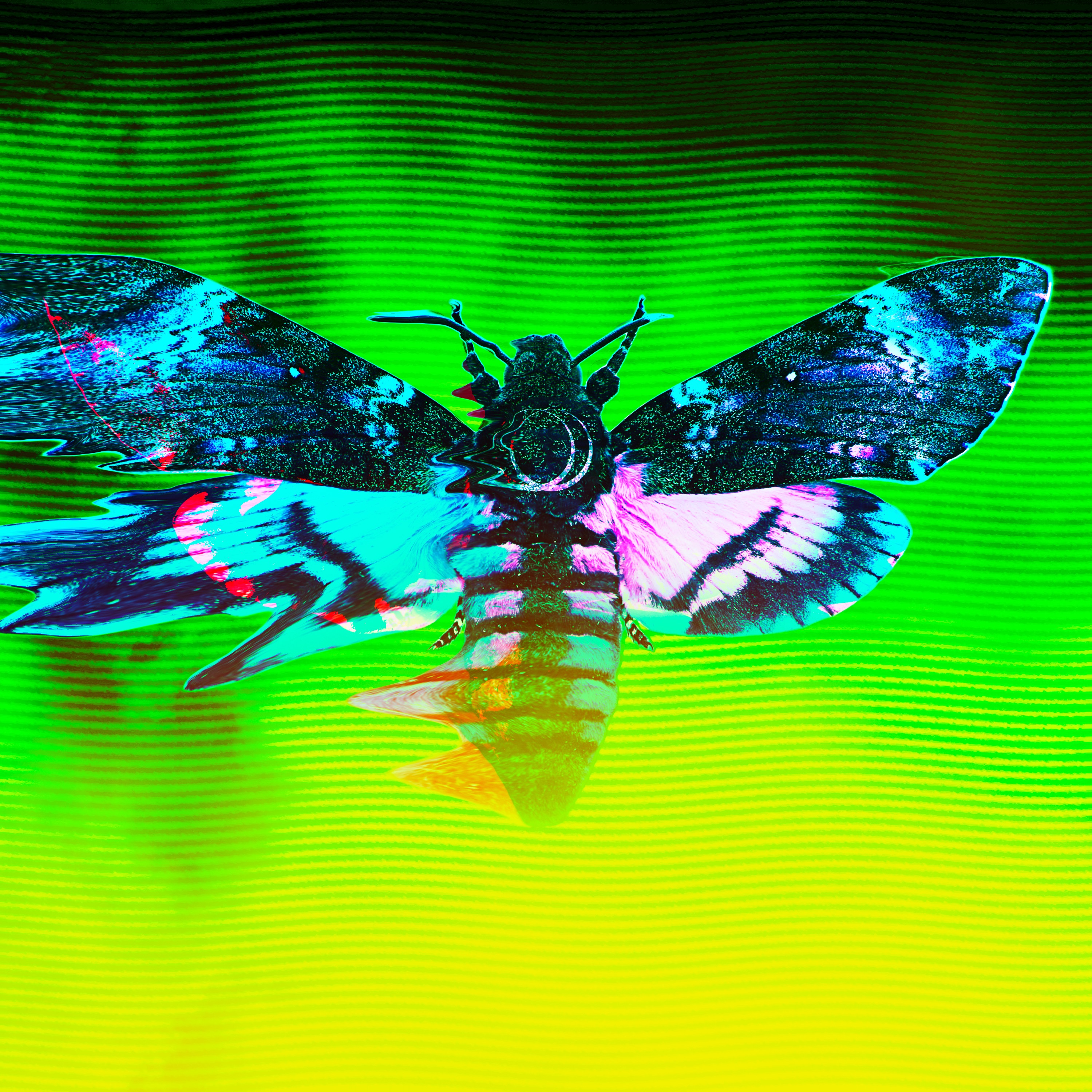 Dissection (Harbiter Remix) - Single