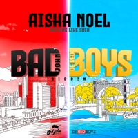 Nothing Like Soca - Single - Aisha Noel