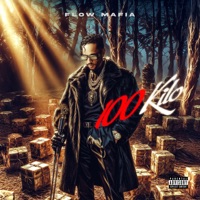 100 Kilo - Single - Flow Mafia