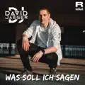 Was Soll Ich Sagen