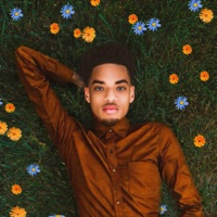 Dear, Lover - Ali Tatum II
