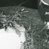 Ancient (feat. Kilnizm) - Single - Jye Bon