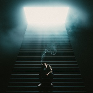 Tranen En Een Hoop Frustratie - Single