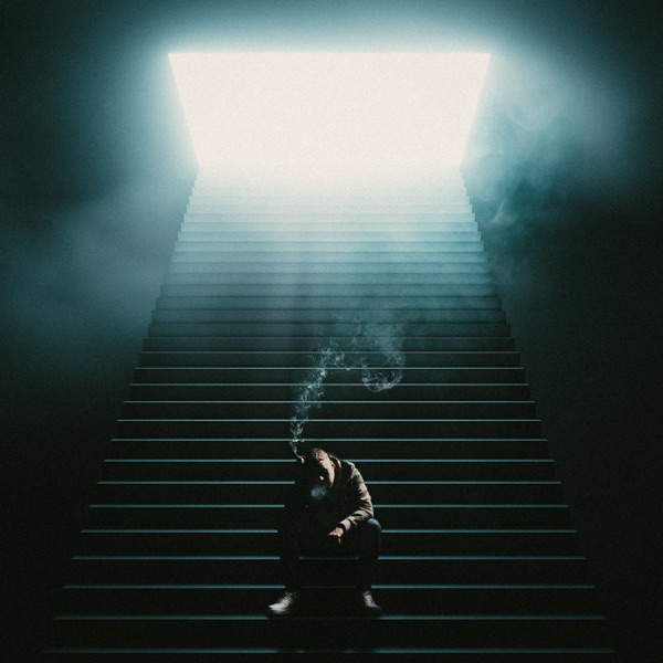 Tranen En Een Hoop Frustratie - Single
