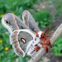 whatamidoingwrong? - Single - 10r