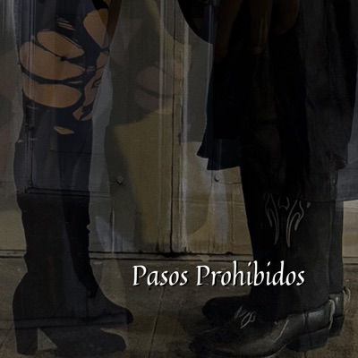 Pasos Prohibidos - Single