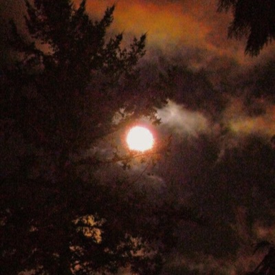 moonlight - Single