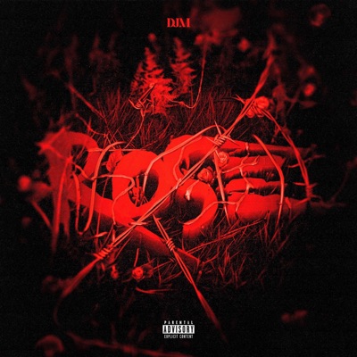 Rose - Single