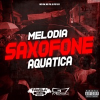 Melodia Saxofone Aquático - Single - DJ PG7 011, MC GW & MC PR