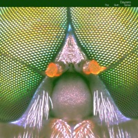 The Sixth Sense EP - Dayzero