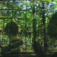 Birdie - Single - Zanthin