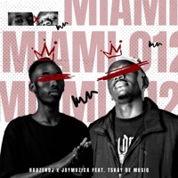MiAMI 012 (feat. JayMuzica & Tskay de Musiq) - Single - Hauzendj