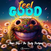 The Party Partying (Feel Good Riddim) - Single - Alma Boy
