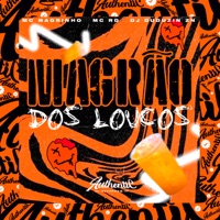 Magrão dos Loucos (feat. Mc Magrinho & Mc Rd) - Single - DJ DUDUZIN ZN