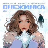 Снежинка (Remix) - Single - Tomá Polák