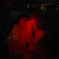 Wie du liebs