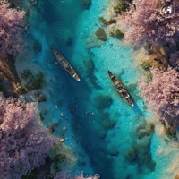 Zen Stream - Single - Høxde & LuMoz