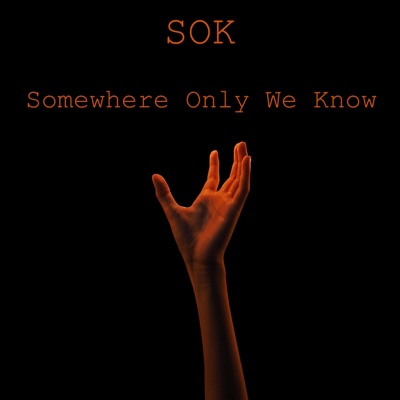 Somewhere Only We Know - Single