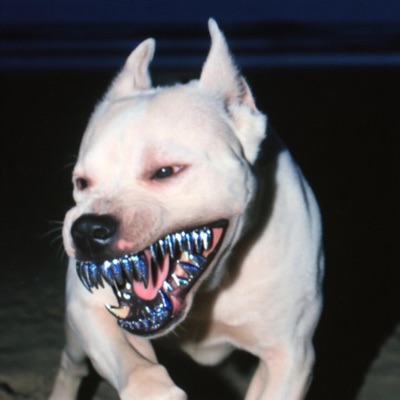 V12 (feat. Trill Flackø) - Single