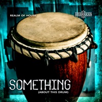 Something (About this drum) - Single - Realm of House