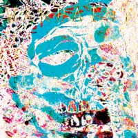 The Fool (Andrew Weatherall Mixes) - Warpaint