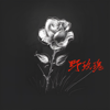 Nanfang Kai - Wild Rose artwork