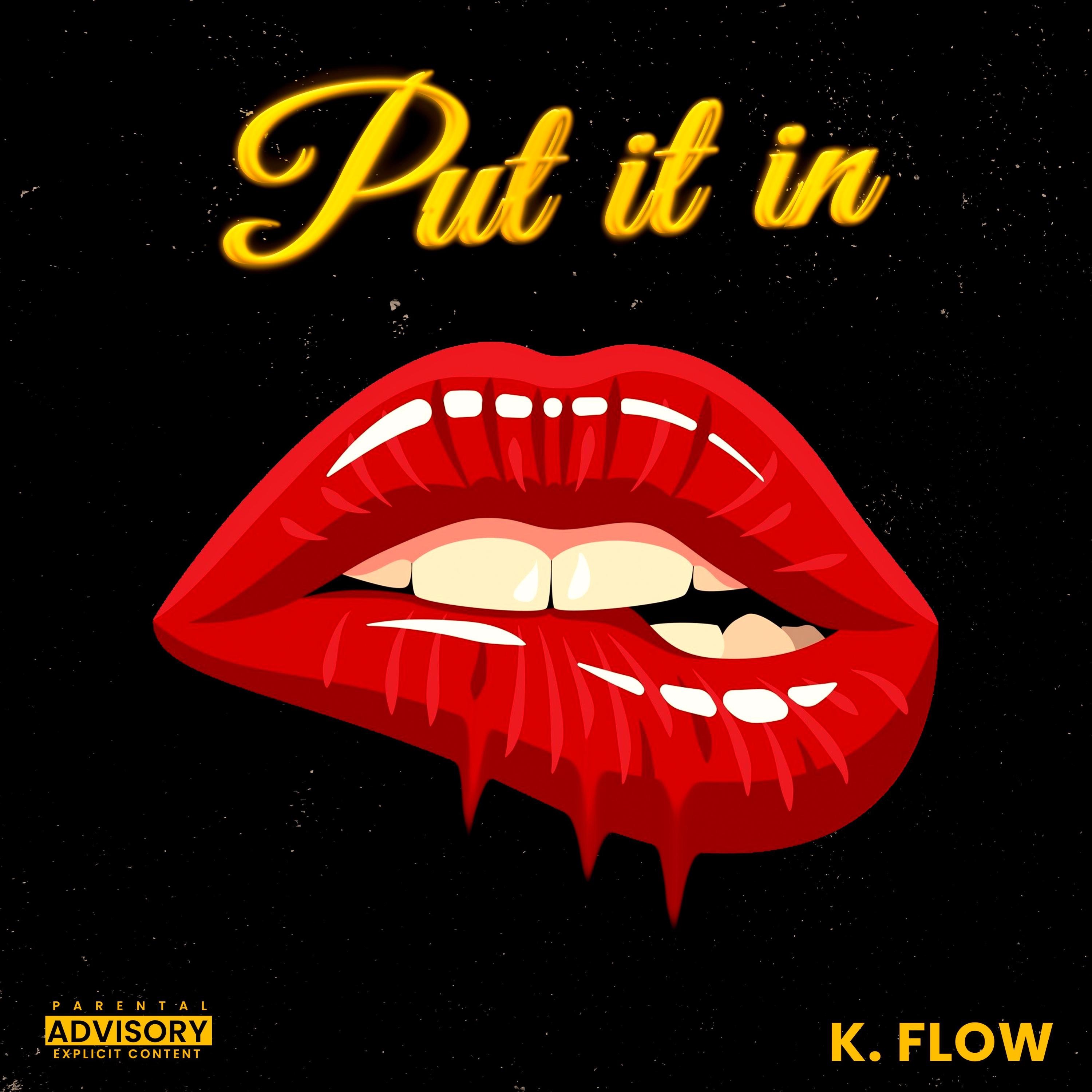 Put it in - Single