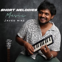 Short Melodies - Javed Riaz