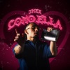 COMO ELLA - Single