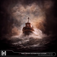In the End (Artur Lenivenko Acoustic Mix) [with Robbie Rosen & RAM6] - Single - Mully & Shvman