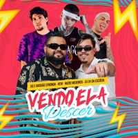 Vendo Ela Descer (feat. Dj LK da Escócia) - Single - DG e Batidão Stronda, Kew & Nuzio Medeiros