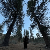 Summer Solstice / Whirlwind - Single - PRIE