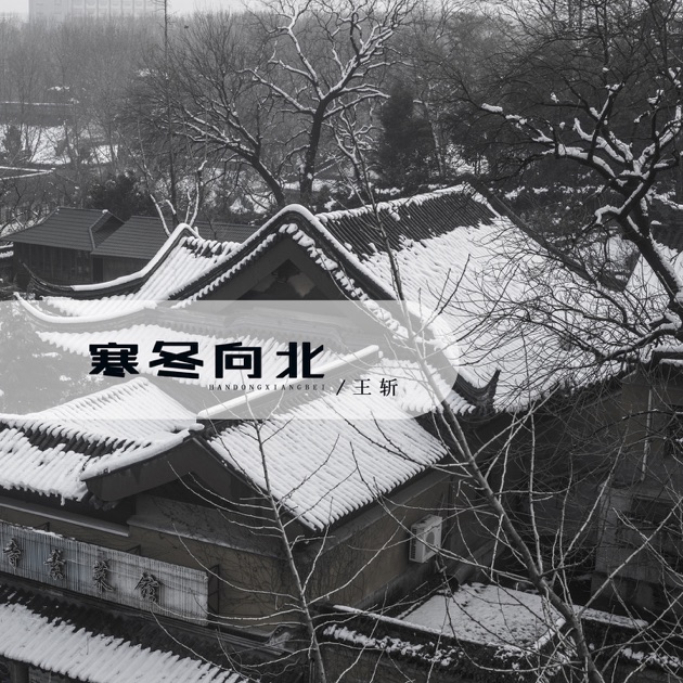 寒冬向北- Single - Album by Zhan Wang - Apple Music