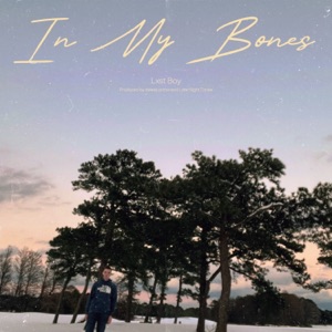 In My Bones - Single