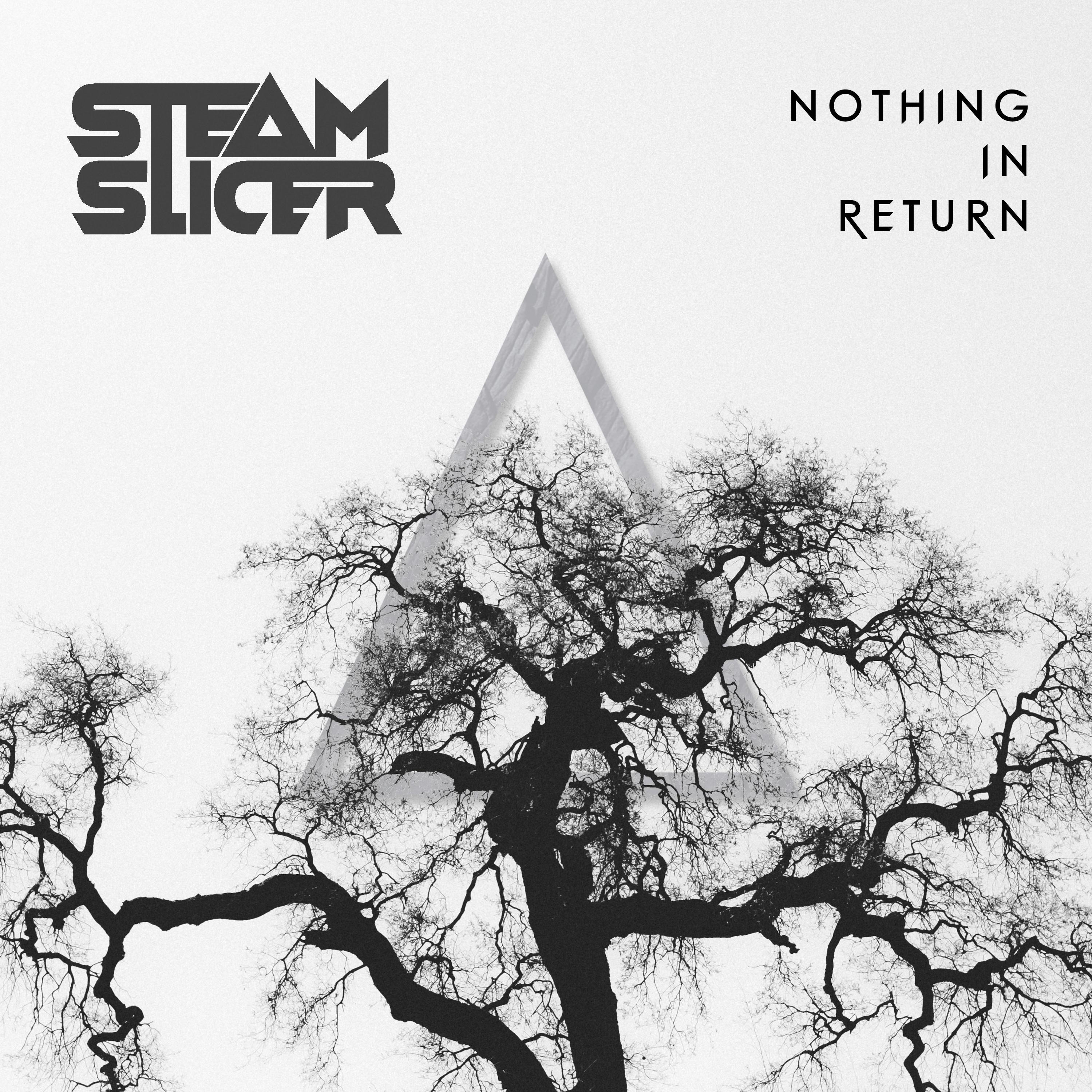 Nothing in Return - Single
